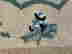 item-129675668=8
