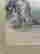 item-129699381=4