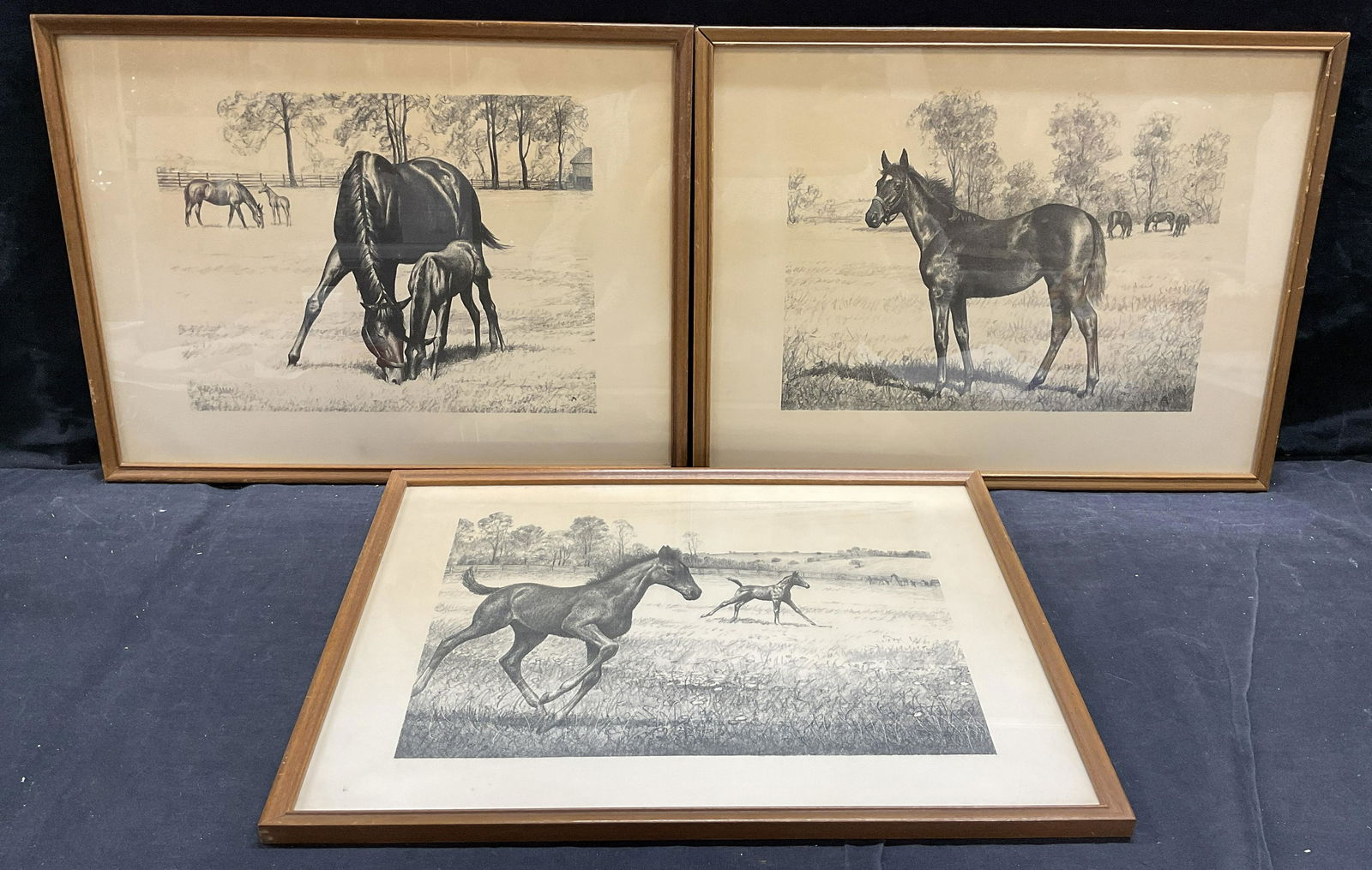 Set 3 CW ANDERSON Horse Lithographs (1 of 6)
