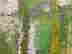 item-129699480=5