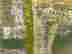 item-129699480=6