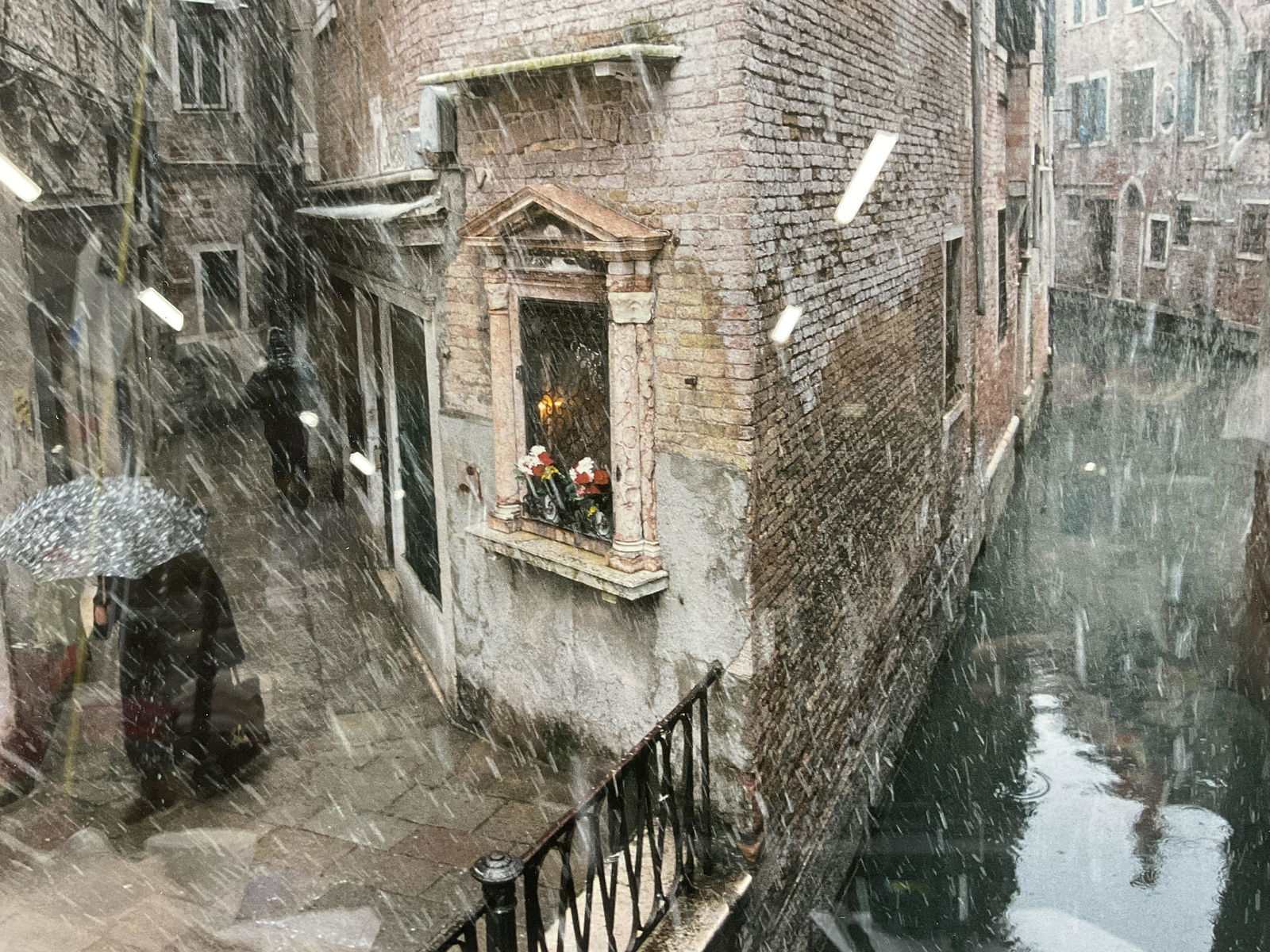 STEVEN RICHTER Signed Photograph 1999 (1 of 8)