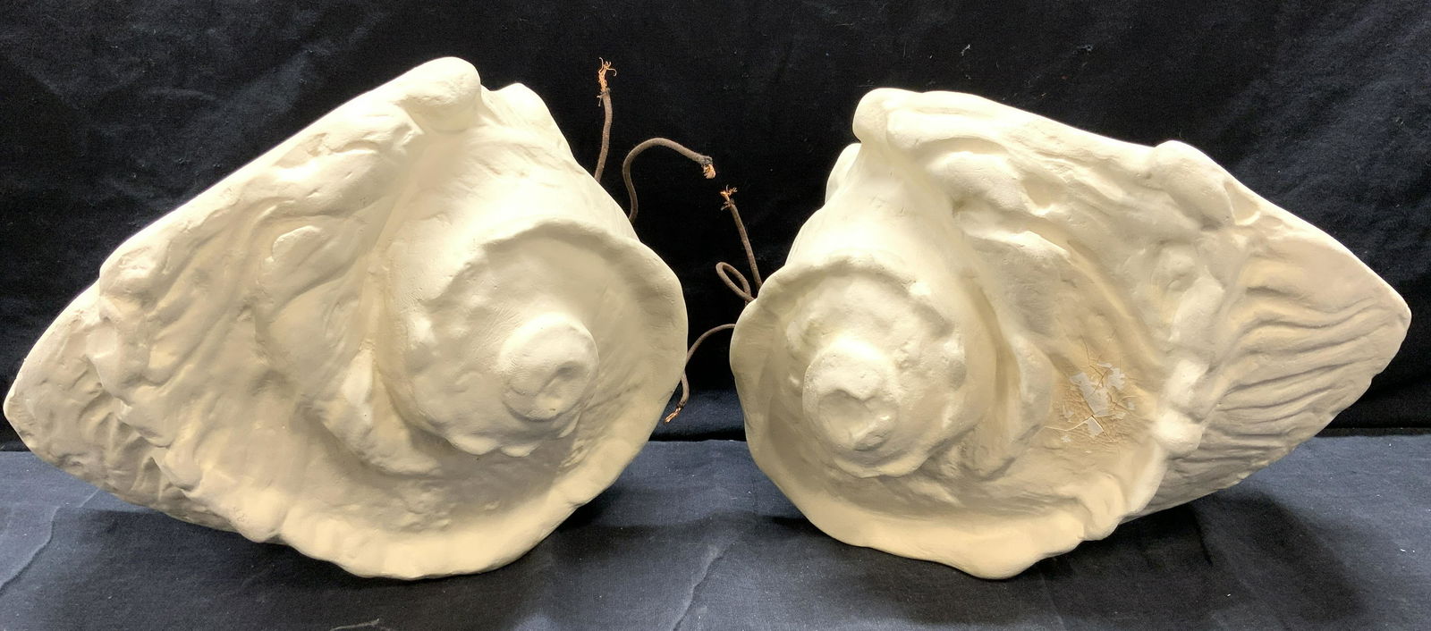 Pair Plaster Nautilus Shell Style Wall Sconces (1 of 8)