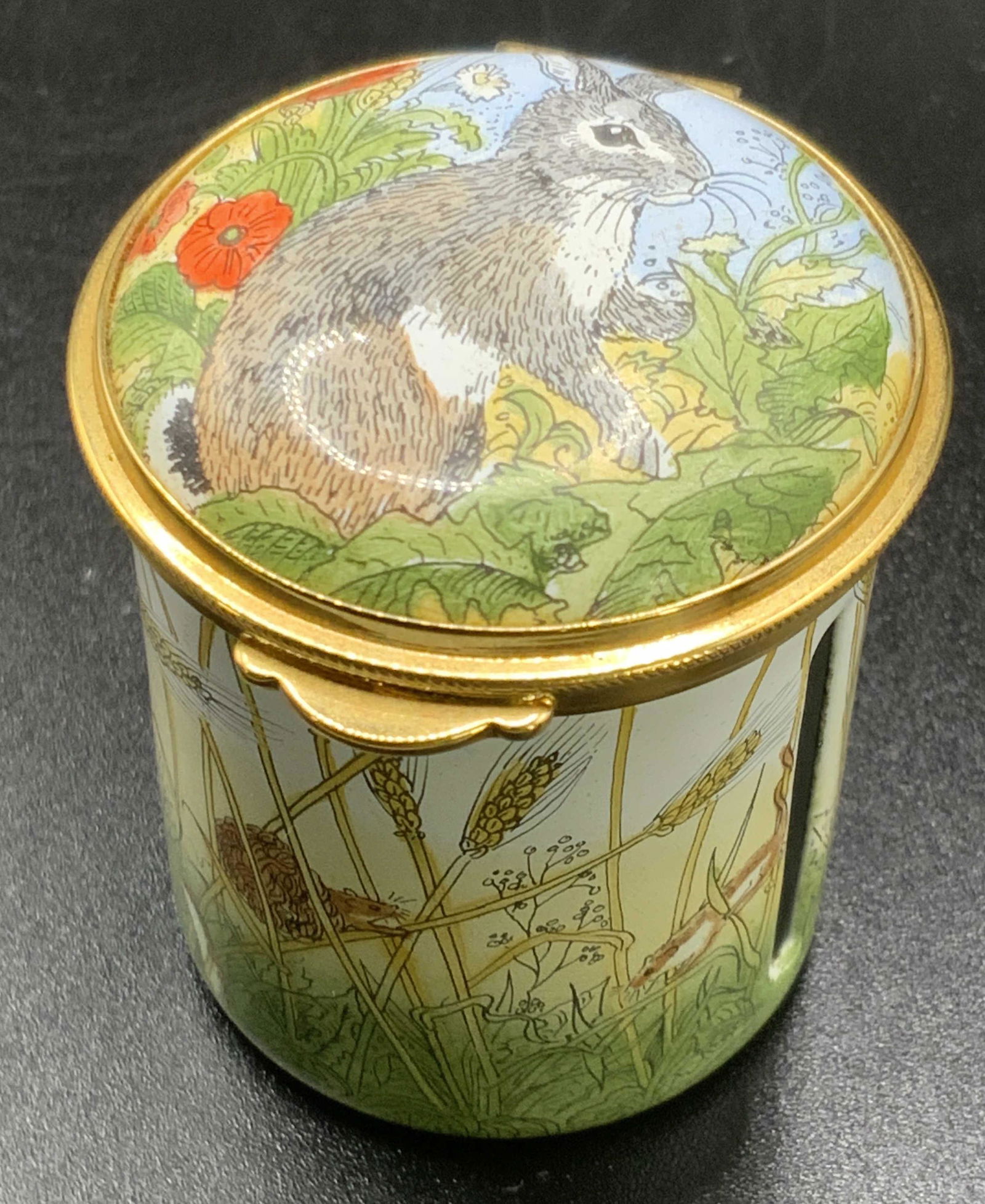 STAFFORDSHIRE ENAMELS Hand Painted Pill Box (1 of 14)