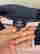 item-130538128=4