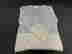 item-130035490=6