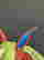 item-130052624=4