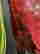 item-130052624=8