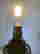 item-130052712=8