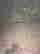 item-130055447=12