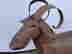 item-130055474=2