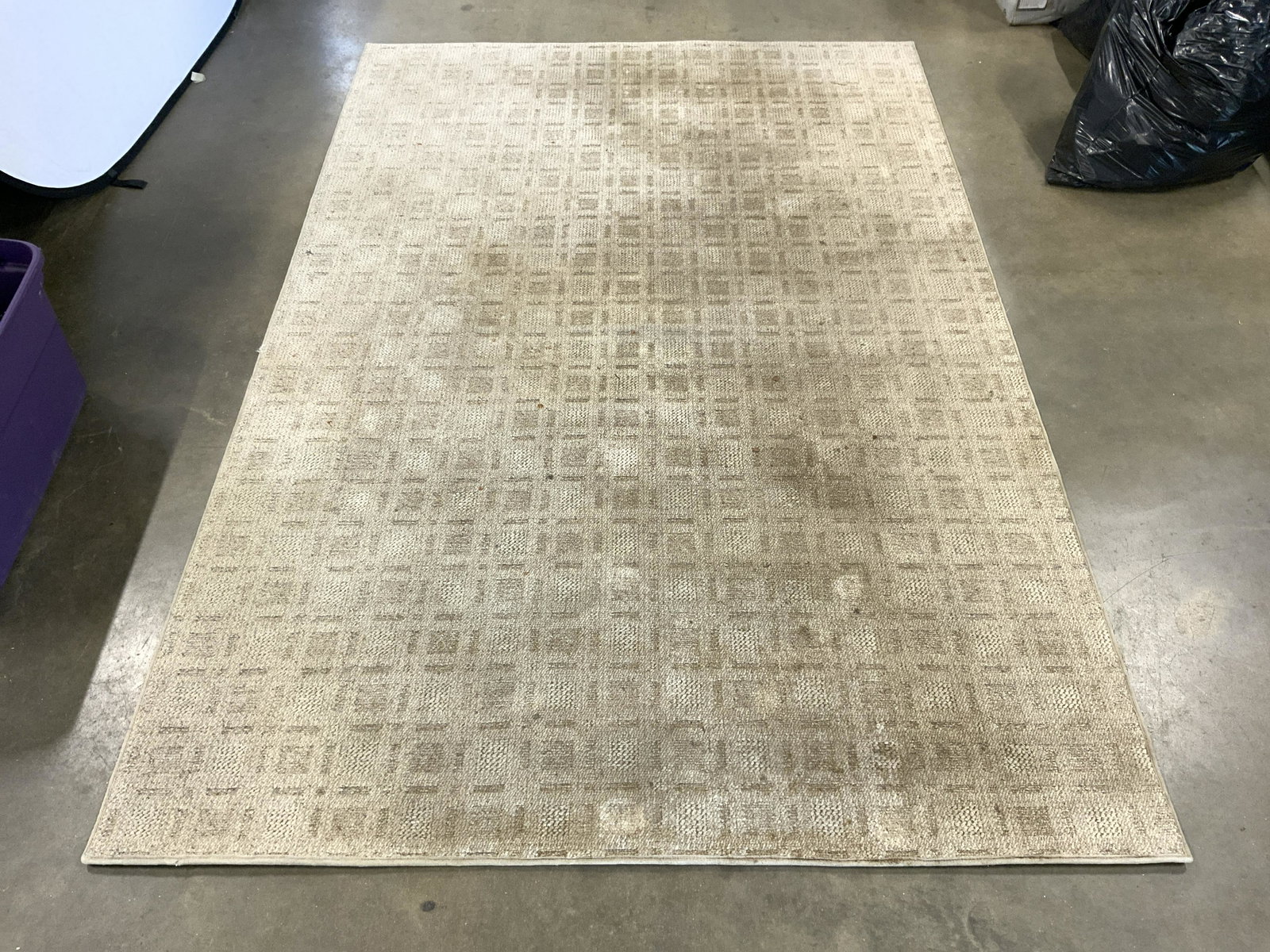 Sand Toned Wool Area Rug (1 of 10)