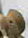 item-130055608=15