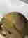 item-130055608=16