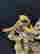 item-130055608=4