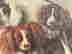 item-130282583=4