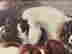 item-130282583=6