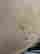 item-130282601=10