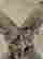 item-130282615=9