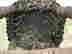 item-130282637=8