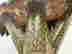 item-130282643=6