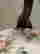 item-130282661=17
