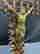 item-130282702=4