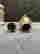item-130788722=6