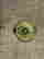 item-130857273=6