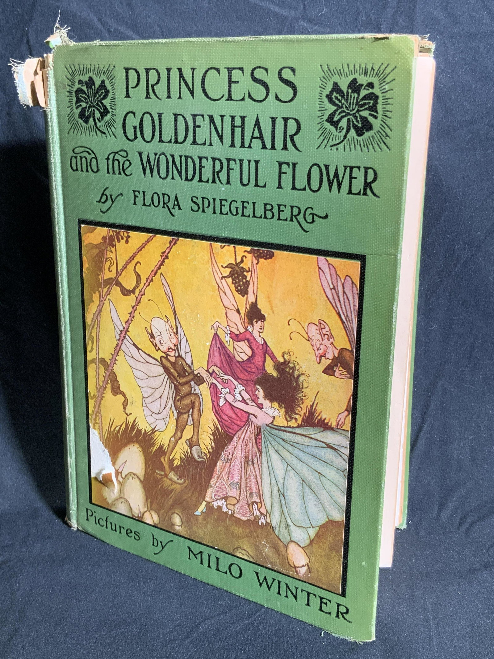 Princess Goldenhair & The Wonderful Flower Book (1 of 10)