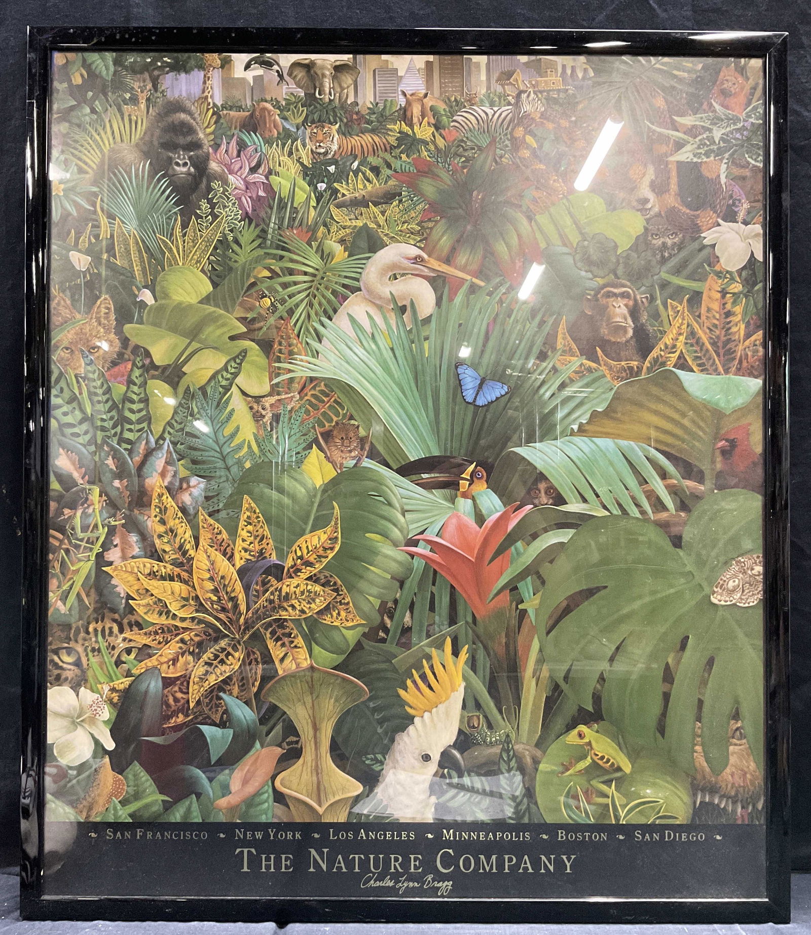 CHARLES LYNN BRAGG Offset Lithograph (1 of 7)