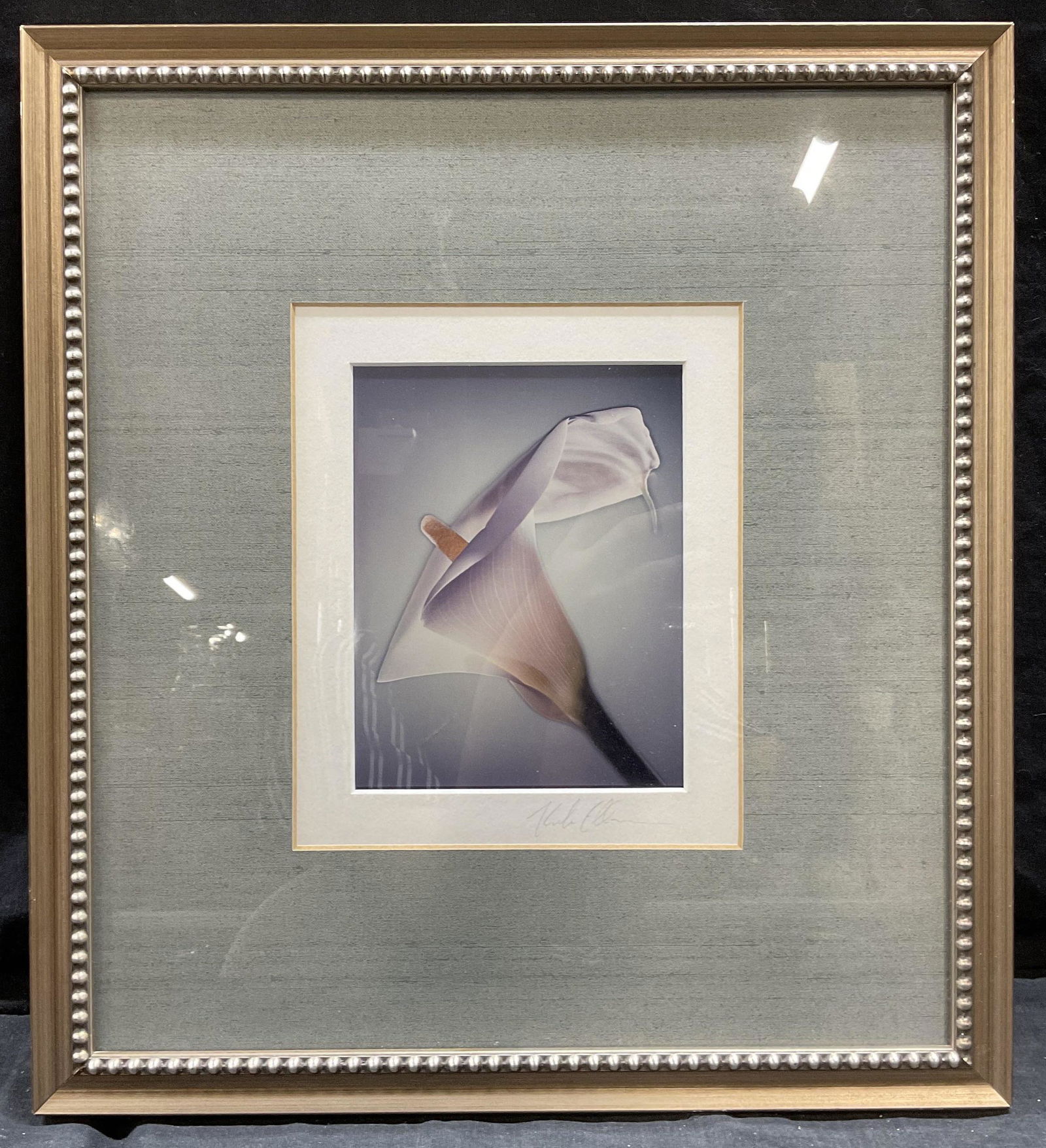 Signed Calla Lily Photograph (1 of 5)