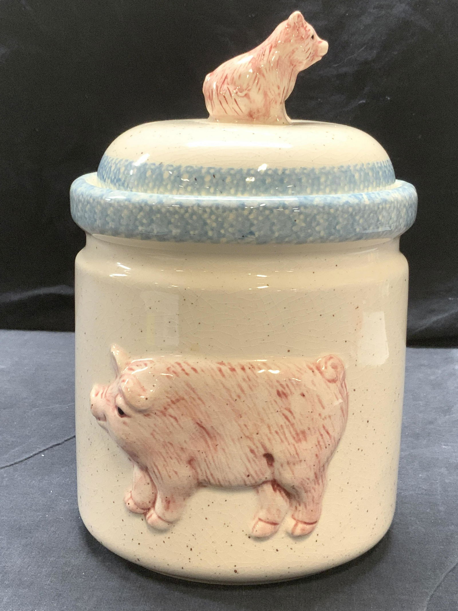 Relieved Ceramic Pig Jar (1 of 7)