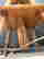item-131693356=11