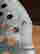 item-131693393=10