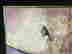 item-131824865=3