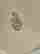 item-132185256=6