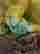 item-132239916=8