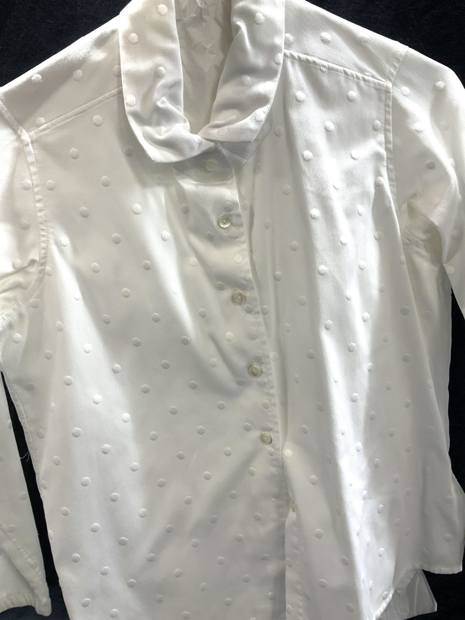 Polka Dot Button Down Shirt (1 of 3)
