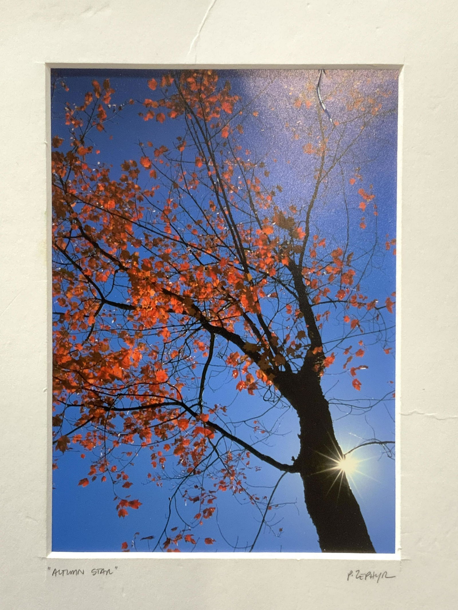 P. ZEPHYR Autumn Star Offset Lithograph (1 of 5)