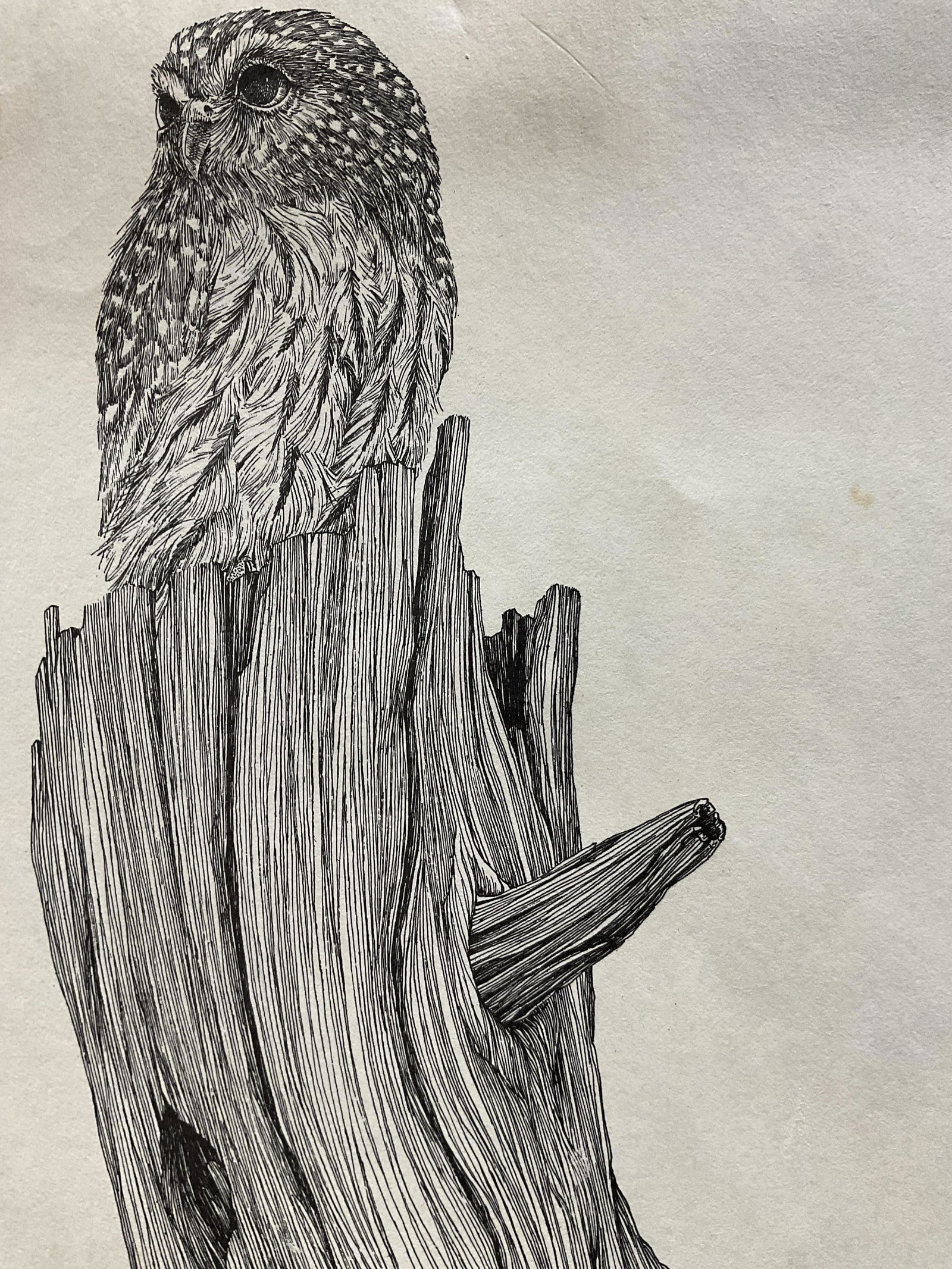 PETER PARNALL Double Sided Owl Serigraph (1 of 4)