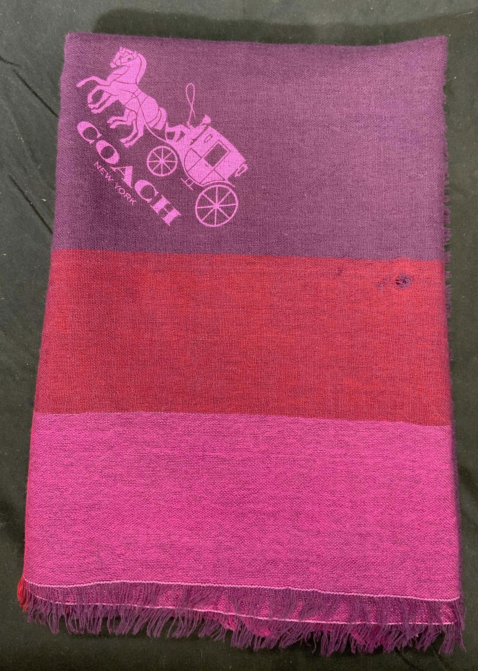 COACH Punk & Purple Striped Scarf (1 of 4)