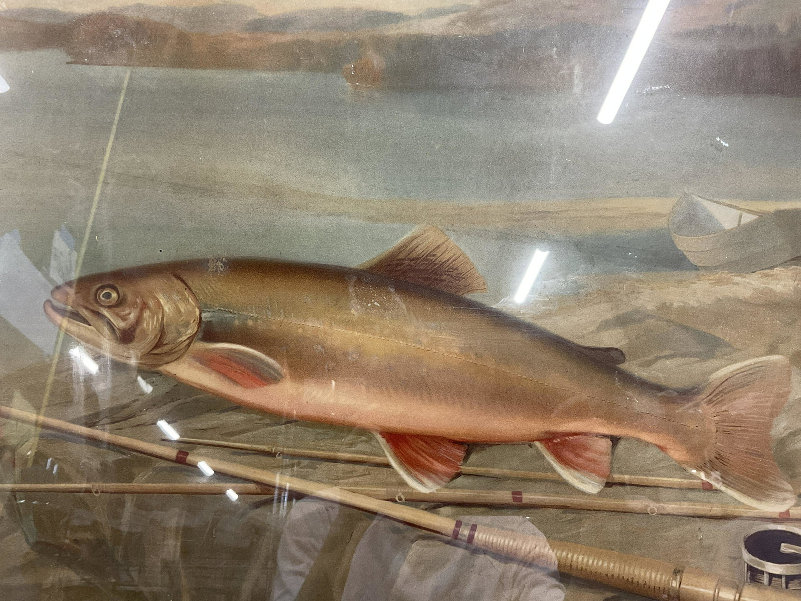 AD TURNER Trout Lithograph: AD TURNER Trout Lithograph, inscription to lower right reads ‘AD Turner’, subject a fish on the bank of a body of water, measures 22 5/8 x 32 1/4 inches, gilt wooden frame, surface wear to frame, 