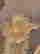 item-133422004=17
