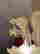 item-133422004=3
