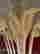 item-133422004=9