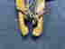 item-133422023=6