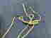 item-133422023=8