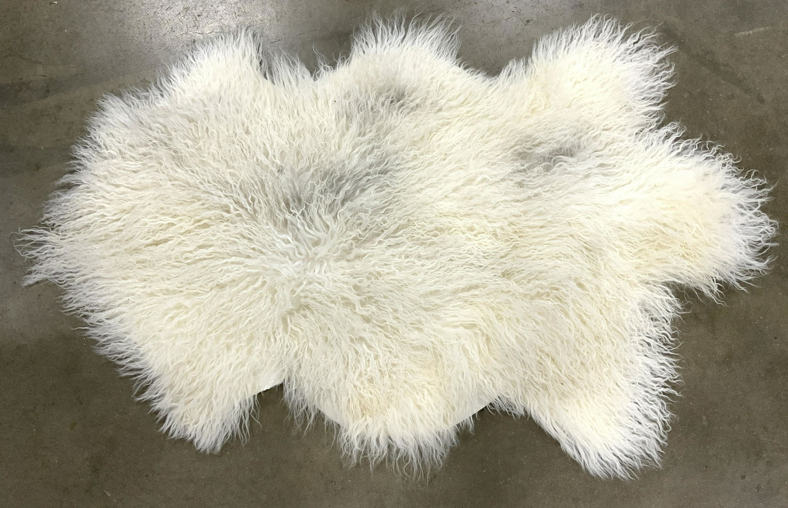 MONGOLIAN SHEEPSKIN Animal Hide Rug (1 of 7)