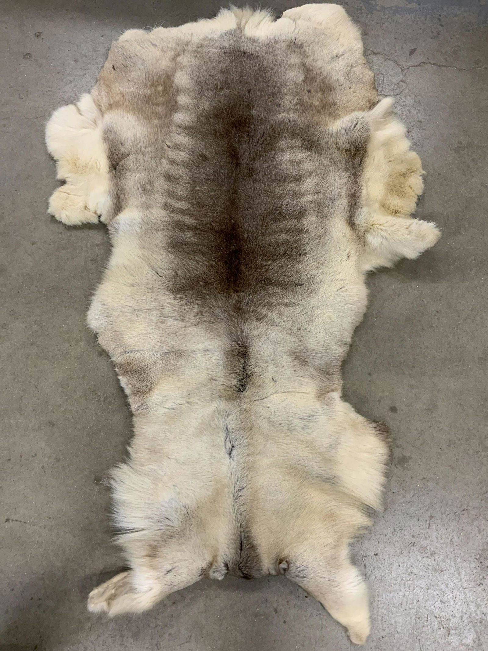 Animal Hide Rug Carpet Accent Rug (1 of 8)